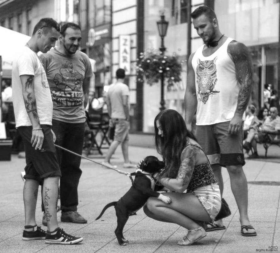 Street Photography - Puppy & Tattoo